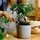 odzywka-do-bonsai-30ml-compo-stan-nowy