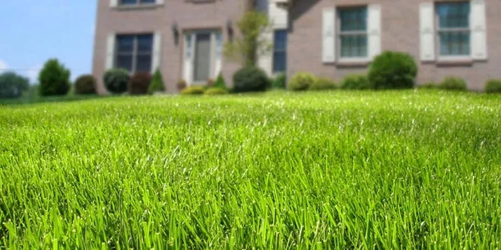 nawoz-do-trawnika-4kg-target-rodzaj-nawozu-wieloskladnikowy