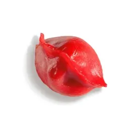 sticky-business-pierozki-jiaozi-wolowina-z-chili-3-kg