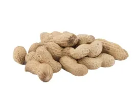 fistaszki-orzechy-ziemne-arachidowe-w-lupinie-2-kg