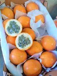 granadilla-passiflora-slodkaorzezwiajaca-1szt