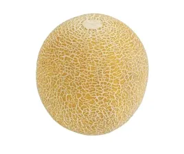 melon-galia-kaliber-5-brazylia