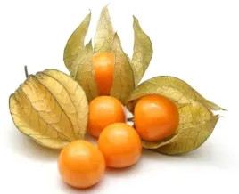 physalis-miechunka-swieza-100g-eden-garden
