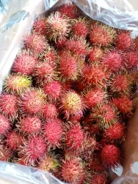 rambutan-swiezy-pyszny-jak-liczi-250-g