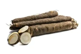 skorzonera-swieza-1-kg-pyszna-jak-szparagi