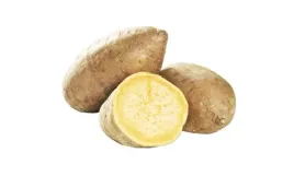 ziemniak-slodki-batat-xl-6-kg-honduras