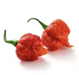 papryka-ostra-carolina-reaper-holandia-50g
