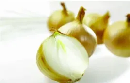 bio-cebula-1-kg-polska