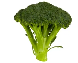 brokul-1-sztuka-polska