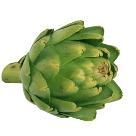 swiezy-karczoch-delikates-warzywny-z-francji-i-hiszpanii-artichoke-1-szt