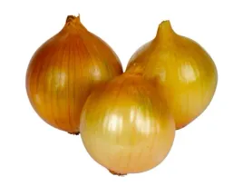 cebula-kaliber-od-70-mm-10-kg