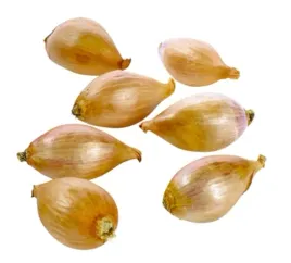 cebula-szalotka-500-g-holandia