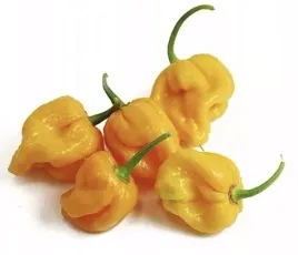 papryka-ostra-habanero-zolta-75g