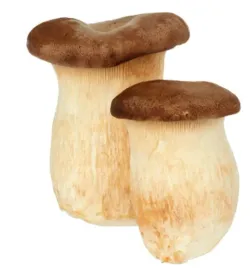 boczniak-krolewski-200-g-korea