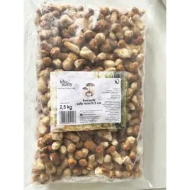 lesne-skarby-borowik-caly-mini-0-2cm-mrozony-25-kg