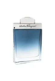 salvatore-ferragamo-subtil-pour-homme-eau-de-toilette-100-ml