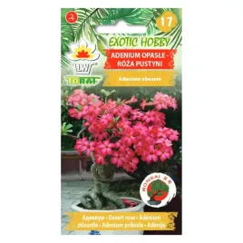 adenium-opasle-roza-pustyni-5-szt