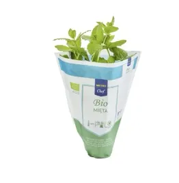 metro-chef-bio-mieta-bio-1-sztuka-polska-swieze-ziola