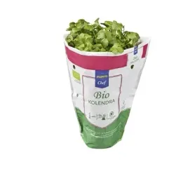 metro-chef-bio-kolendra-bio-1-sztuka-polska-swieze-ziola