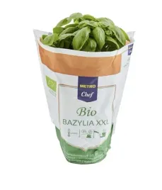 metro-chef-bio-bazylia-bio-xxl-1-sztuka-polska-swieze-ziola