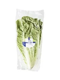 metro-chef-salata-rzymska-1-sztuka-hiszpania