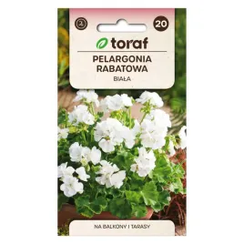 pelargonia-rabatowa-biala-05g