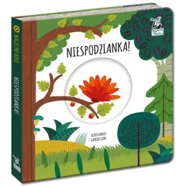kapitan-nauka-magiczne-kolo-niespodzianka-ks0674