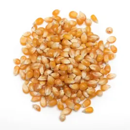 popcorn-ziarno-kukurydzy-do-prazenia-250gr-naturalne-od-bialego-wilka