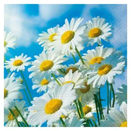 serwetki-33x33-decoupage-sun-daisies-20szt-margaretki-stokrotki-kwiaty