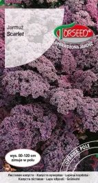 jarmuz-scarlet-czerwony-1g-nasiona-jarmuzu-uprawa-w-ogrodzie