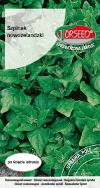 szpinak-nowozelandzki-5g-nasiona-szpinaku-uprawa-w-ogrodzie