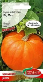 dynia-olbrzymia-big-max-nasiona-dyni-jadalna-na-przetwory-ogrod-3g