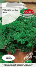pietruszka-naciowa-astra-kedzierzawa-1g-nasiona-pietruszki-naciowej