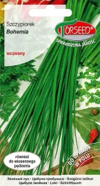 szczypiorek-bohemia-1g-nasiona-szczypiorku-do-ogrodu