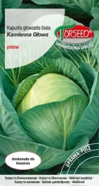 kapusta-glowiasta-biala-kamienna-glowa-pozna-2g-nasiona-kapusty
