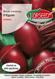 burak-cwiklowy-d-egypte-degipski-15g-nasiona-buraka-uprawa-w-ogrodzie