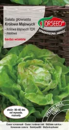 salata-maslowa-krolowa-majowych-2g-nasiona-salaty-uprawa-w-ogrodzie