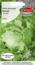 salata-krucha-kamelot-batavia-05g-nasiona-salaty-uprawa-w-ogrodzie