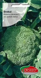 brokul-wloski-sebastian-1g-nasiona-brokulu-uprawa-w-ogrodzie