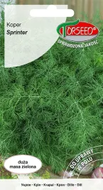 koper-sprinter-5g-nasiona-kopru-ogrodowego-uprawa-w-ogrodzie