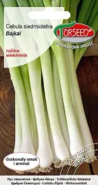 cebula-siedmiolatka-bajkal-05g-nasiona-cebuli-uprawa-w-ogrodzie