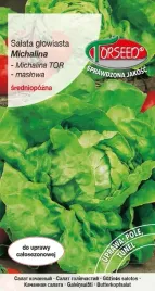 salata-maslowa-michalina-2g-nasiona-salaty-uprawa-w-ogrodzie