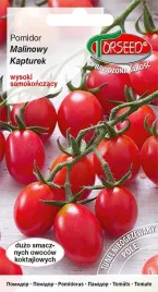 pomidor-czeresniowy-malinowy-kapturek-wysoki-01g-nasiona-pomidora