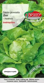 salata-maslowa-zina-zimujaca-05g-nasiona-salaty-uprawa-w-ogrodzie