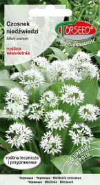 czosnek-niedzwiedzi-allium-ursinum-05g-nasiona-ziol-do-ogrodu