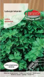 lubczyk-lekarski-levisticum-officinale-02g-nasiona-ziol-ogrodowych