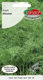 koper-moravan-5g-nasiona-kopru-ogrodowego-uprawa-w-ogrodzie