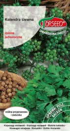 kolendra-siewna-coriandrum-sativum-2g-nasiona-ziol-ogrodowych