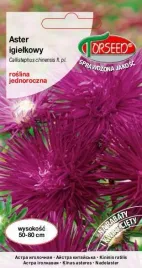 aster-wysoki-igielkowy-ciemnofioletowy-05g-nasiona-asterow-kwiaty