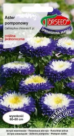 aster-wysoki-pomponowy-bialoniebieski-05g-nasiona-asterow-kwiaty